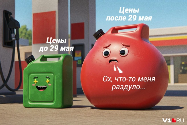 Источник: Полина Авдошина / V1.RU