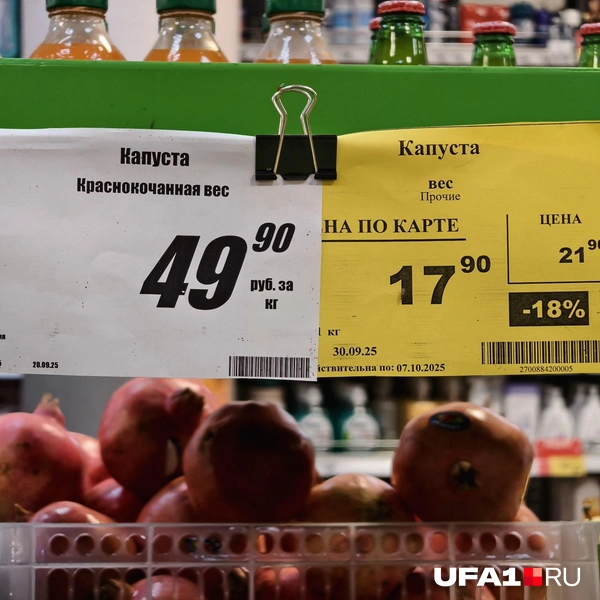 Источник: Булат Салихов / UFA1.RU