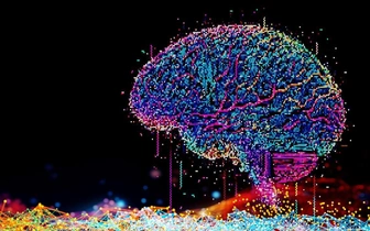 Составлена ли полная карта мозга?