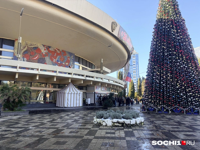 Вода на площади превратилась в лед  | Источник: Анна Грицевич / SOCHI1.RU