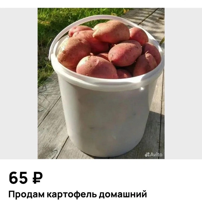 Уже и картофель созрел | Источник: Avito.ru