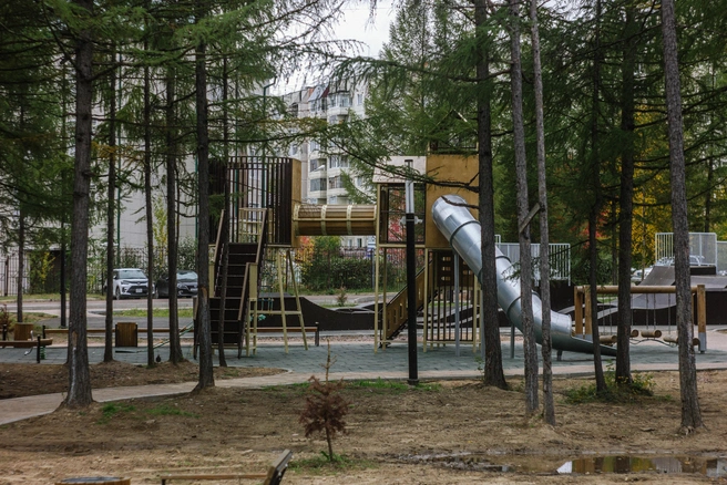 Площадка в парке | Источник: Руслан Симушин / 14.RU