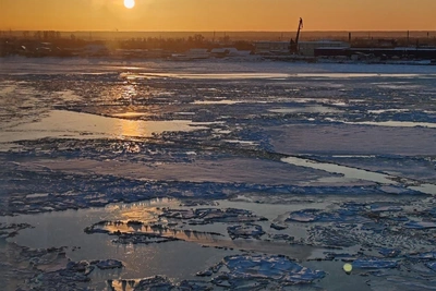 Are You Smarter Than a Schoolchild? Arkhangelsk Region Test