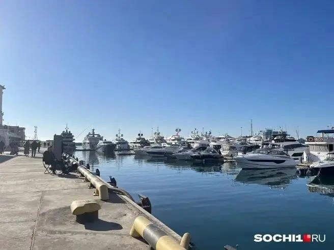 В акватории морпорта Сочи трижды пройдут учебные гранатометания | Источник: Анна Грицевич / SOCHI1.RU