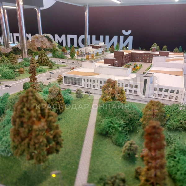 Источник: Екатерина Железнова / 93.RU