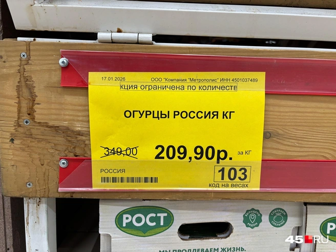 Источник: Кирилл Митин
