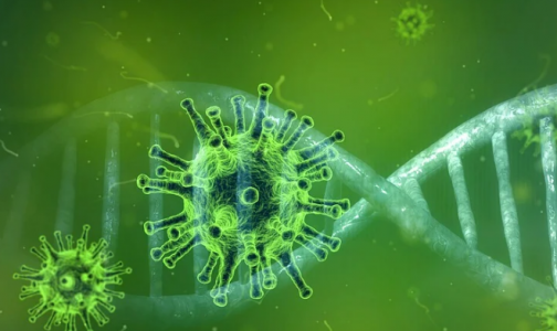 Фото №1 - Бразильский штамм коронавируса может заражать тех, кто уже болел ковидом, заявили ученые