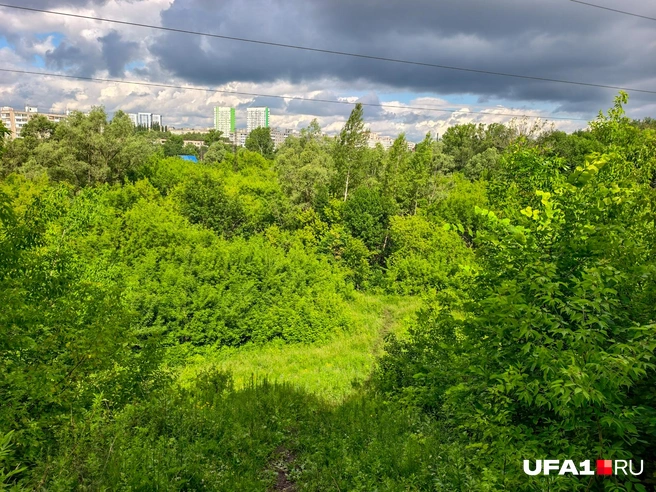 При желании можно подняться чуть выше | Источник: Булат Салихов / UFA1.RU