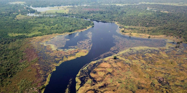 Найдена самая темная река в мире. Гидрологи сравнили ее воду с чаем