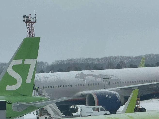 Пассажирам дали гречку и бутерброд, пока они ждали посадки на самолет | Источник: читательница НГС