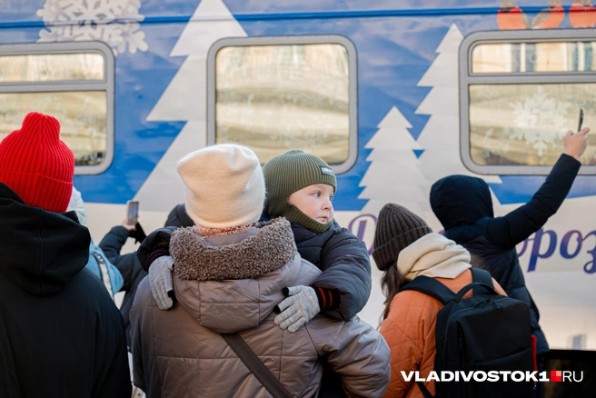 Источник: Елена Буйвол / VLADIVOSTOK1.RU