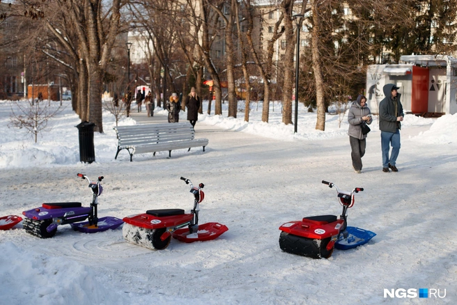 Первомайский сквер часто становится площадкой для прогулок новосибирцев  | Источник: Андрей Бортко/NGS.RU