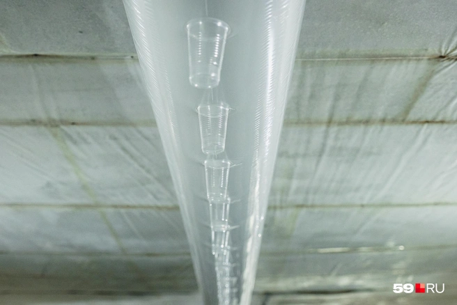 Пластиковые стаканчики нужны для вентиляции помещения | Источник: Тимофей Калмаков / 59.RU