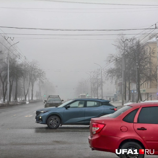 Иней покрыл стекла авто | Источник: Булат Салихов / UFA1.RU