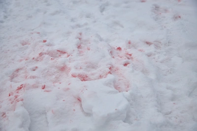 17-летний подозревается в убийстве мужчины у ТЦ в Ново-Ленино