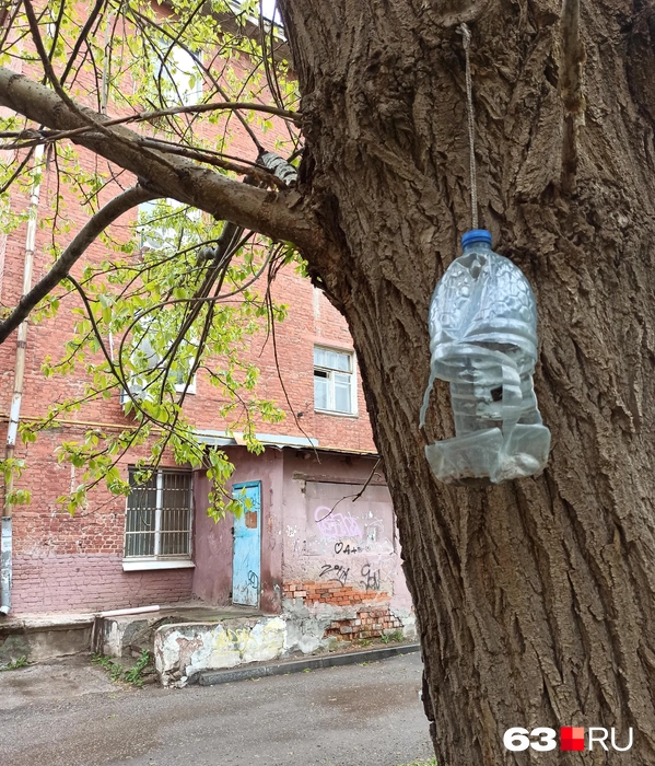 Кажется, птички уже начали жрать кормушку | Источник: Евгений Зиновьев / 63.RU