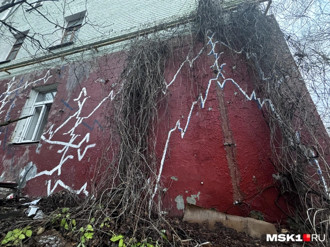 Источник: Алина Мельникова / MSK1.RU