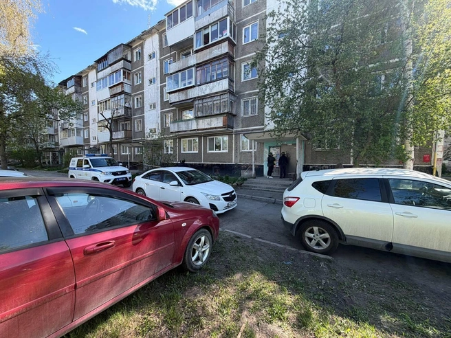 Подросток изготовил муляж взрывного устройства | Источник: читатель E1.RU