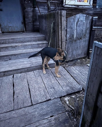 Источник: Юлия Иванова