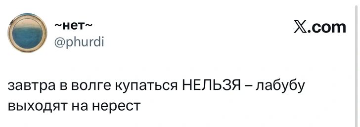 Источник: X (Twitter)