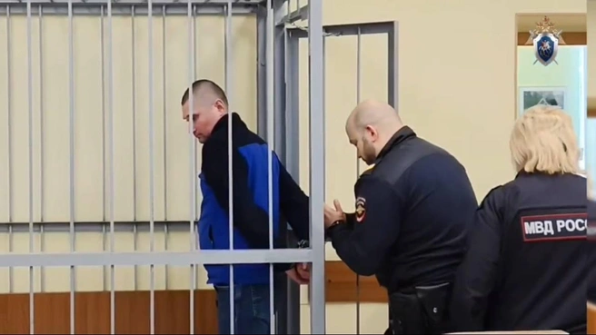 Буйный мужчина ударил соседку кулаком в лицо и повалил на пол ее отца | Источник: СУ СК по Мурманской обалсти