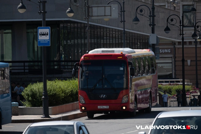 Туристы ехали во Владивосток | Источник: Елена Буйвол / VLADIVOSTOK1.RU
