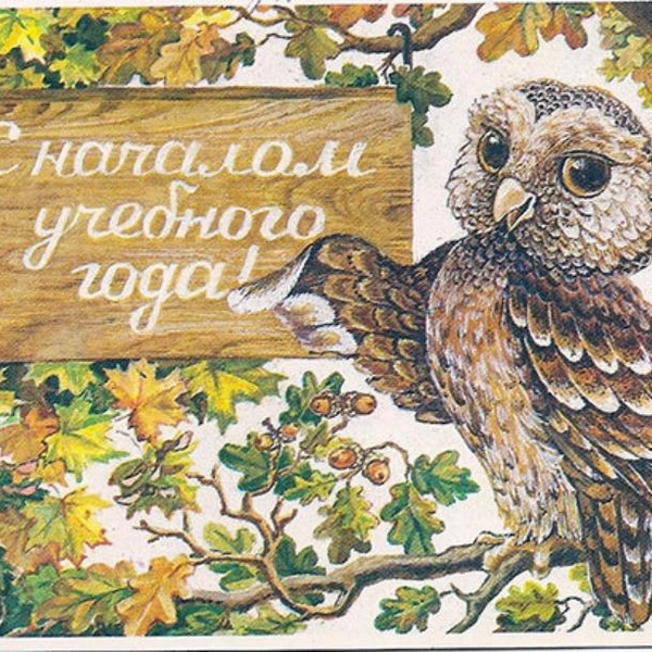 Источник: Соцсети