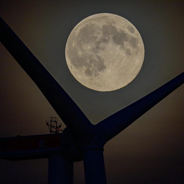 Германия, земля Бранденбург | Источник: Patrick Pleul/picture alliance via Getty Images