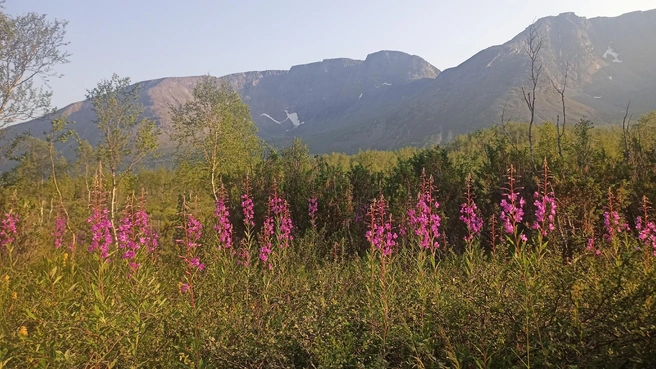 Источник: архив Эльвиры Айнетдиновой