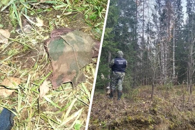 Медведь напал на охотника под Пинегой