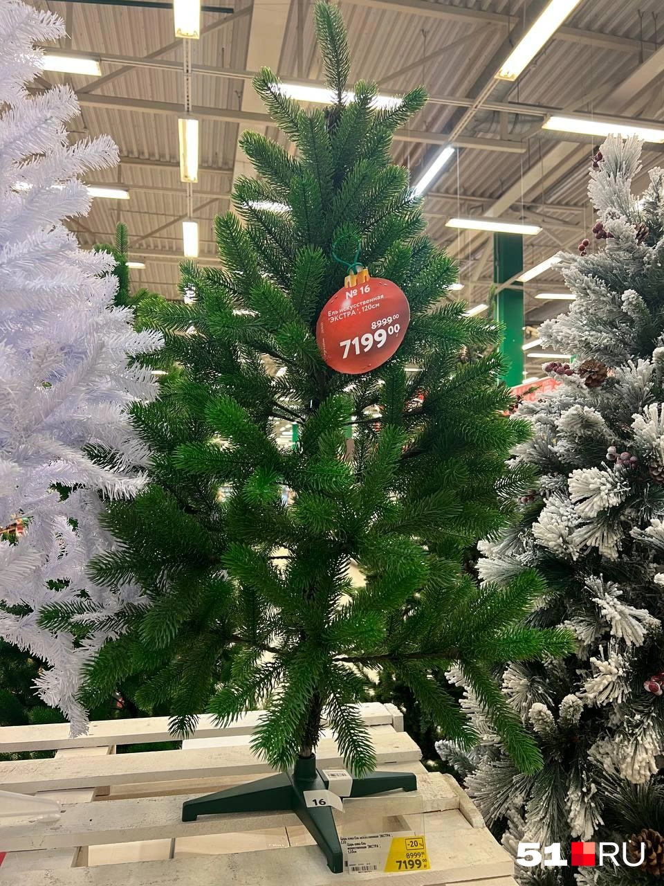 Источник: Александра Балаба