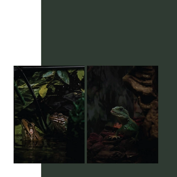 Источник: Inframemagazine.com