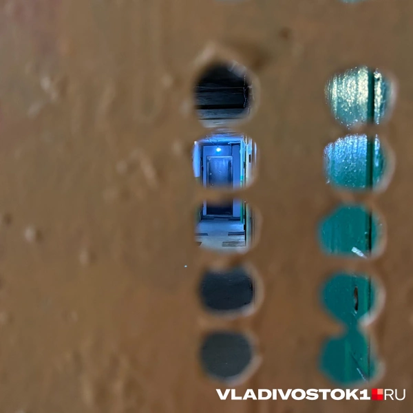 Источник: Елена Буйвол / VLADIVOSTOK1.RU