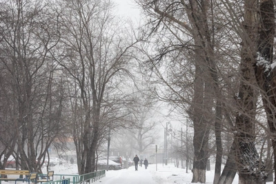 Морозная погода в Тюмени 8 марта