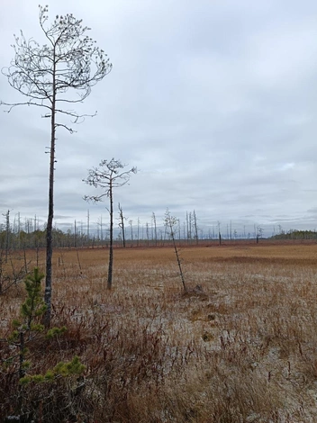 Источник: Варвара Сузько