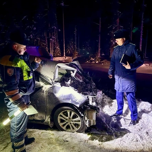 Источник: Прокуратура Карелии