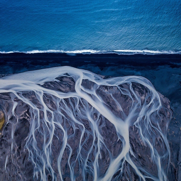 Победитель в номинации «Природное искусство» | Источник: Dipanjan Pal / World Nature Photography Awards 2020