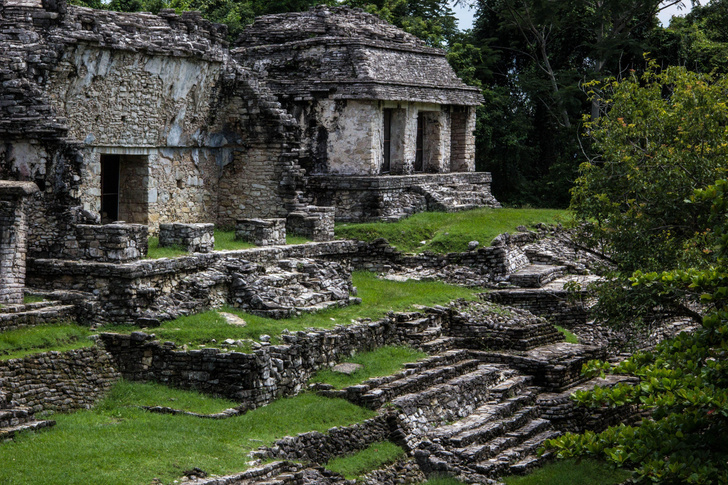 «Положили в прихожей у главного героя»: в Мексике обнаружили загадочную гробницу майя