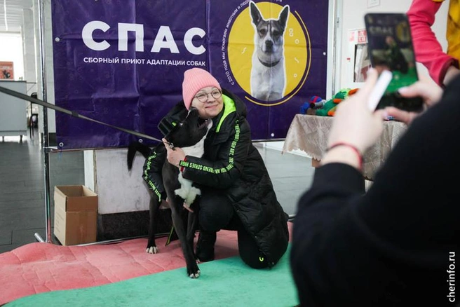 Источник: st.cherinfo.ru