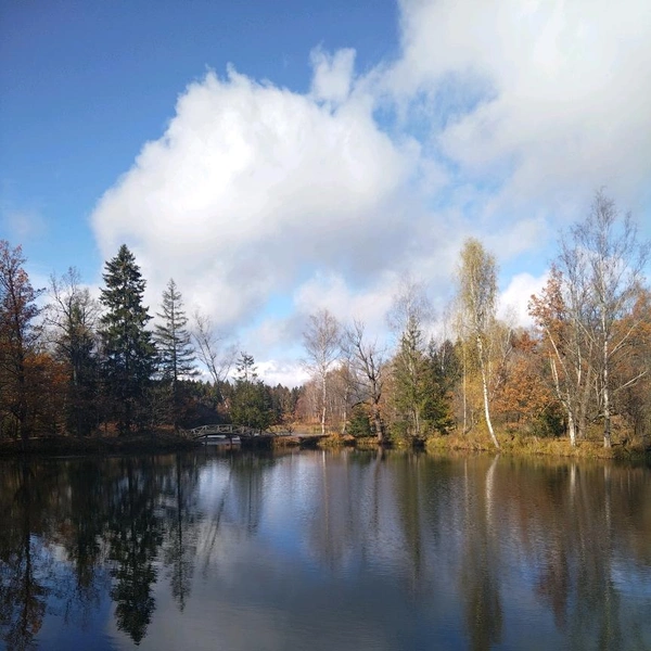 Пруд в усадьбе Абрамцево