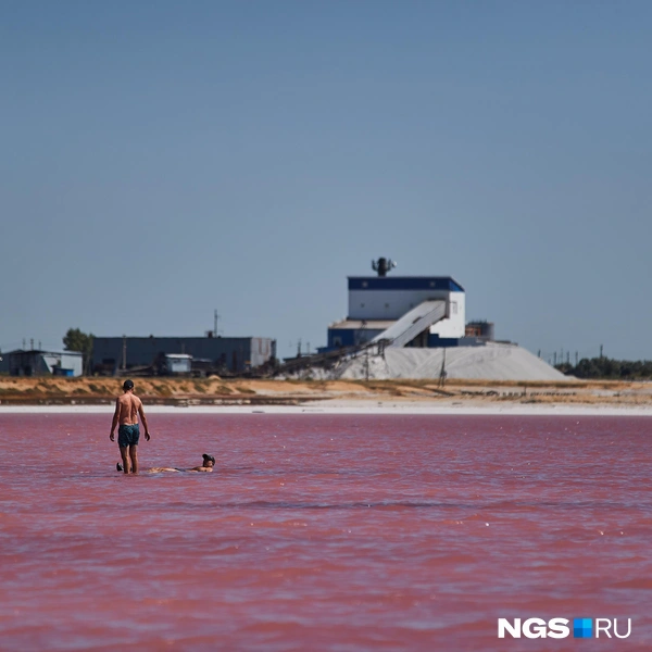 Плотность соленой воды такая, что взрослый человек легко лежит на ее поверхности | Источник: Александр Ощепков / NGS.RU