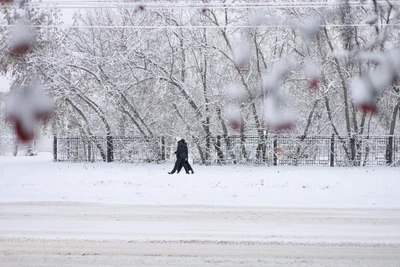 Снегопады и морозы в Челябинске: прогноз синоптиков
