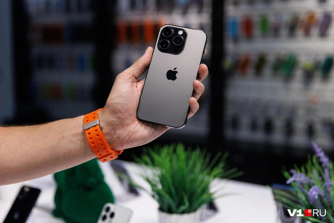 Ожидается, что новую версию iOS получат все iPhone от 11-й модели и старше | Источник: Алексей Волхонский