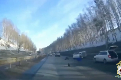 Нелегал сбил человека насмерть в Нижнем Новгороде и пытался сбежать