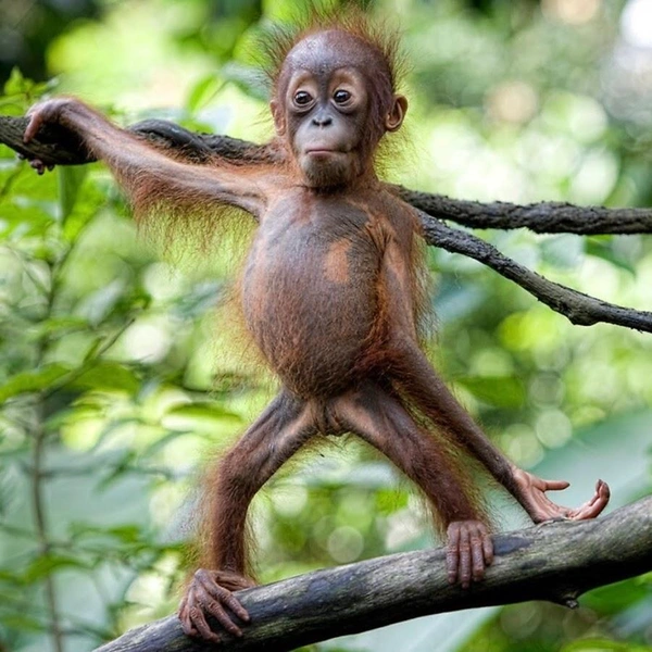 Источник: Соцсети