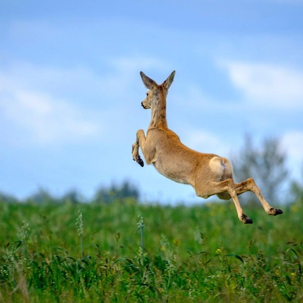 Источник: Виталий Бодрягин / t.me