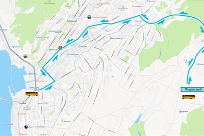 Крылья Сахалина 3-4 июля: как добраться и что посмотреть