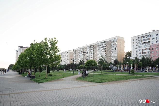 Аллею открыли в 2018 году | Источник: Дарья Паращенко / 93.RU