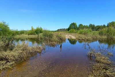 В Приамурье вода ушла с трех участков дорог