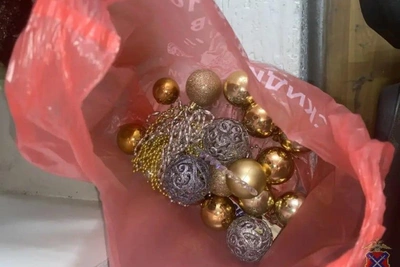 В Волгограде полиция задержала похитителей новогодней елки